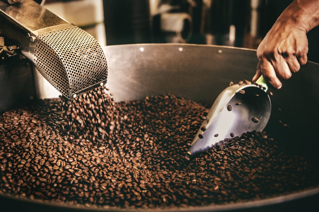 black and white ceramic fish figurine on black and brown coffee beans