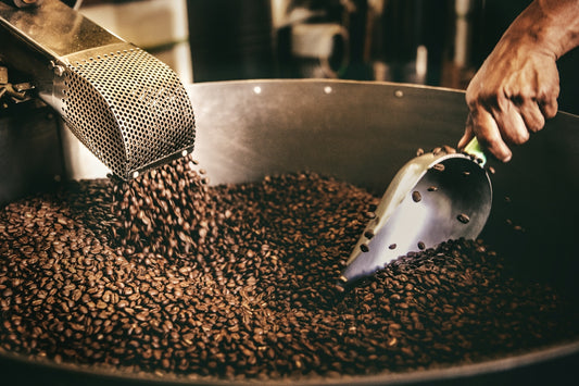 A person using a metal scoop to stir roasted coffee beans in Playa del Carmen