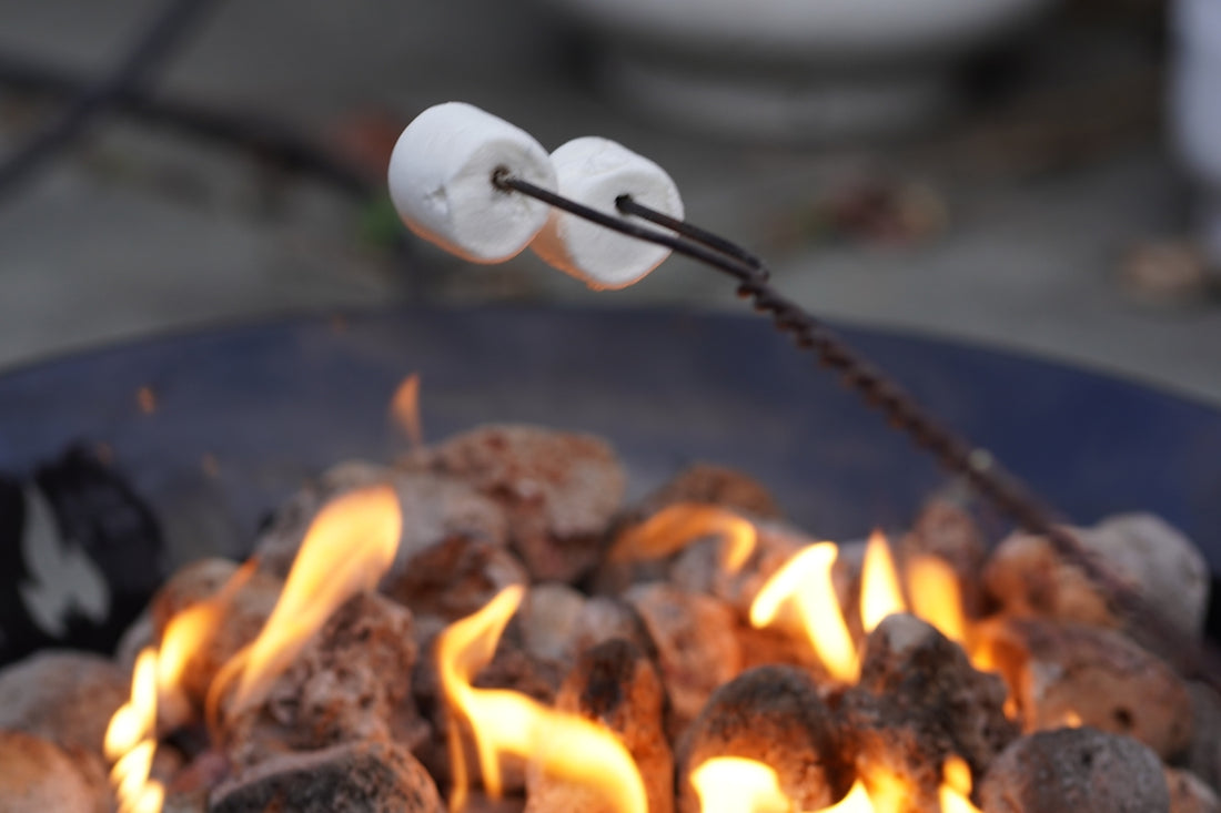 marshmallows are being cooked over a fire pit