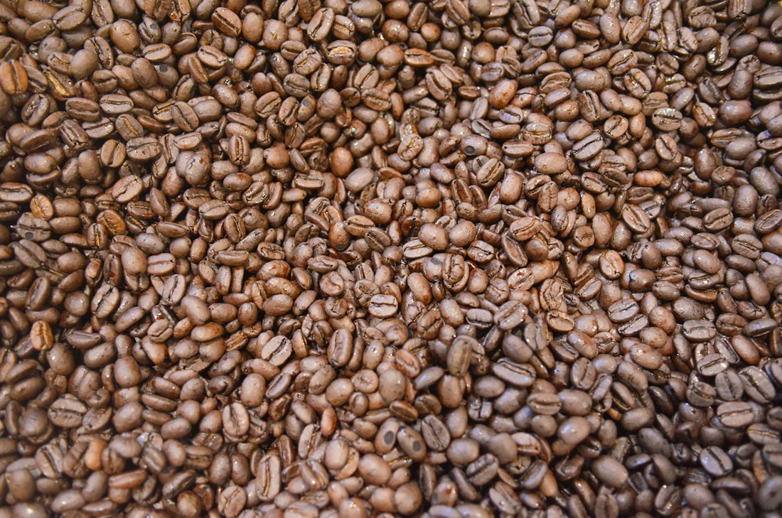 A pile of roasted coffee beans
